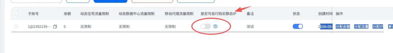 是否可自行购买静态IP”开关